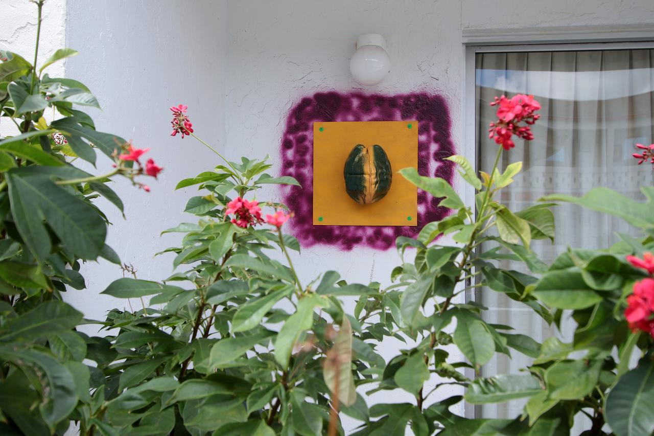 Hotel Nettie'S Different Of Nassau Casuarina'S Exterior foto